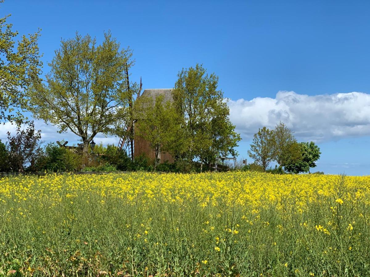 Gasthof Ostwind - ferienwohnungen&meer Steffenshagen Exterior foto